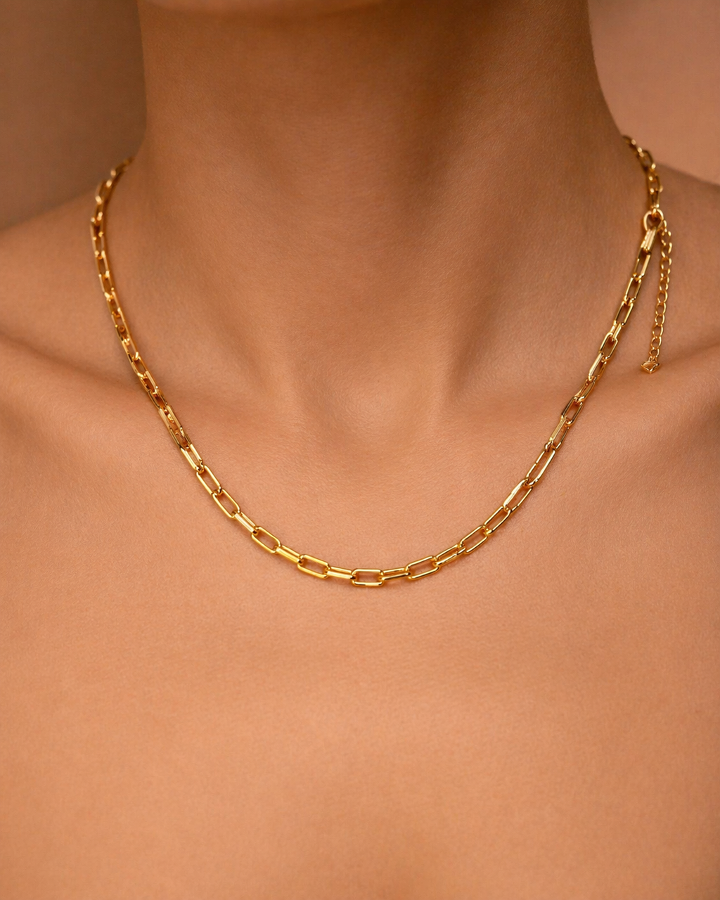 Colar em Elo Cartier Banhado a Ouro 18k com Fecho Lagosta e Extensor Ajustável