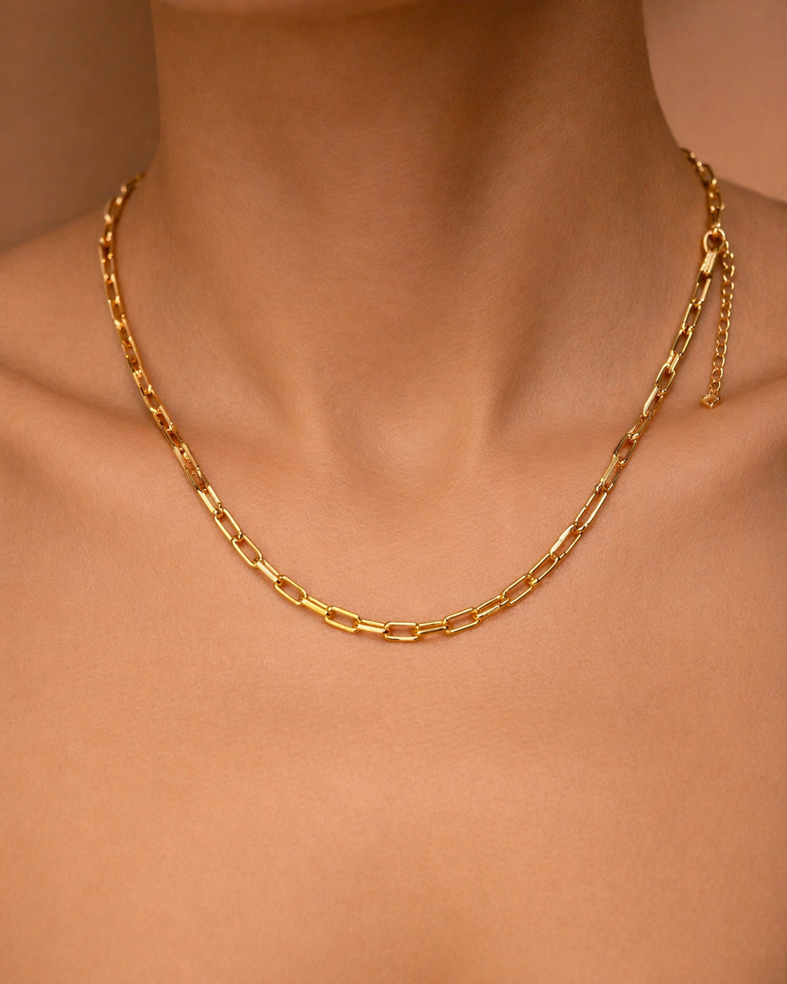 Colar em Elo Cartier Banhado a Ouro 18k com Fecho Lagosta e Extensor Ajustável